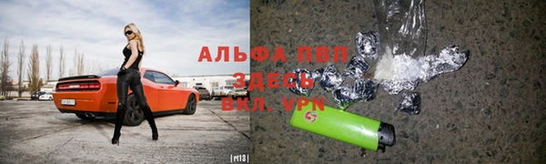 дживик Осташков