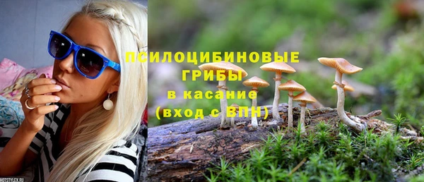 бошки Алзамай