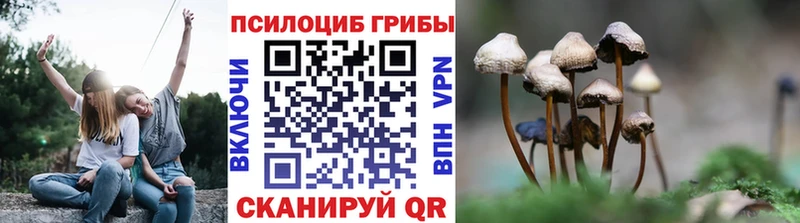 Псилоцибиновые грибы Psilocybine cubensis Любим